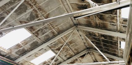 asbestos removal Melbourne